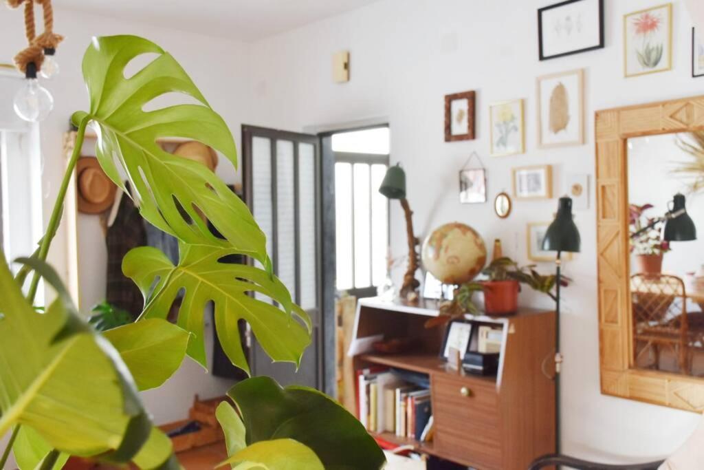 Bamboo House Aljezur Apartment Екстериор снимка