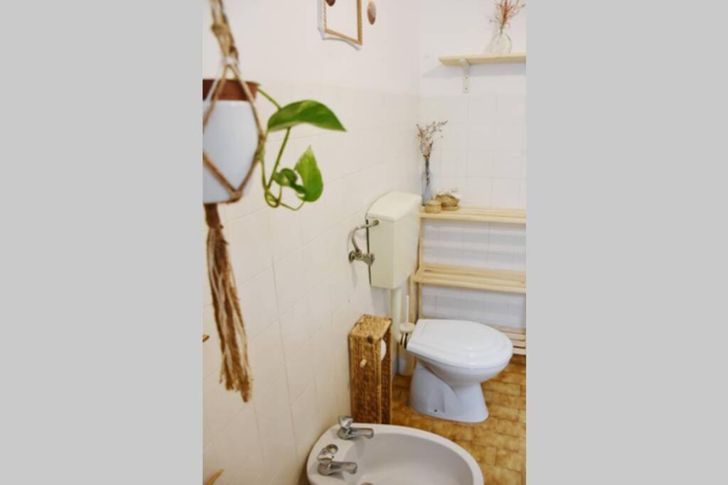 Bamboo House Aljezur Apartment Екстериор снимка