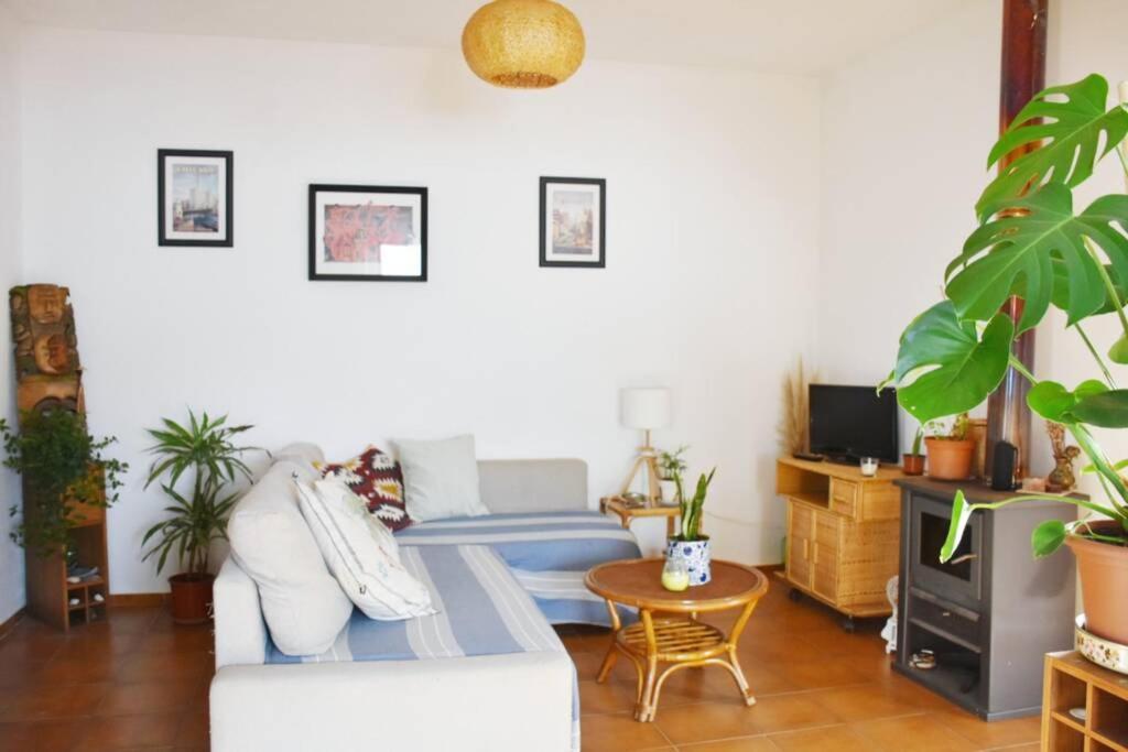 Bamboo House Aljezur Apartment Екстериор снимка