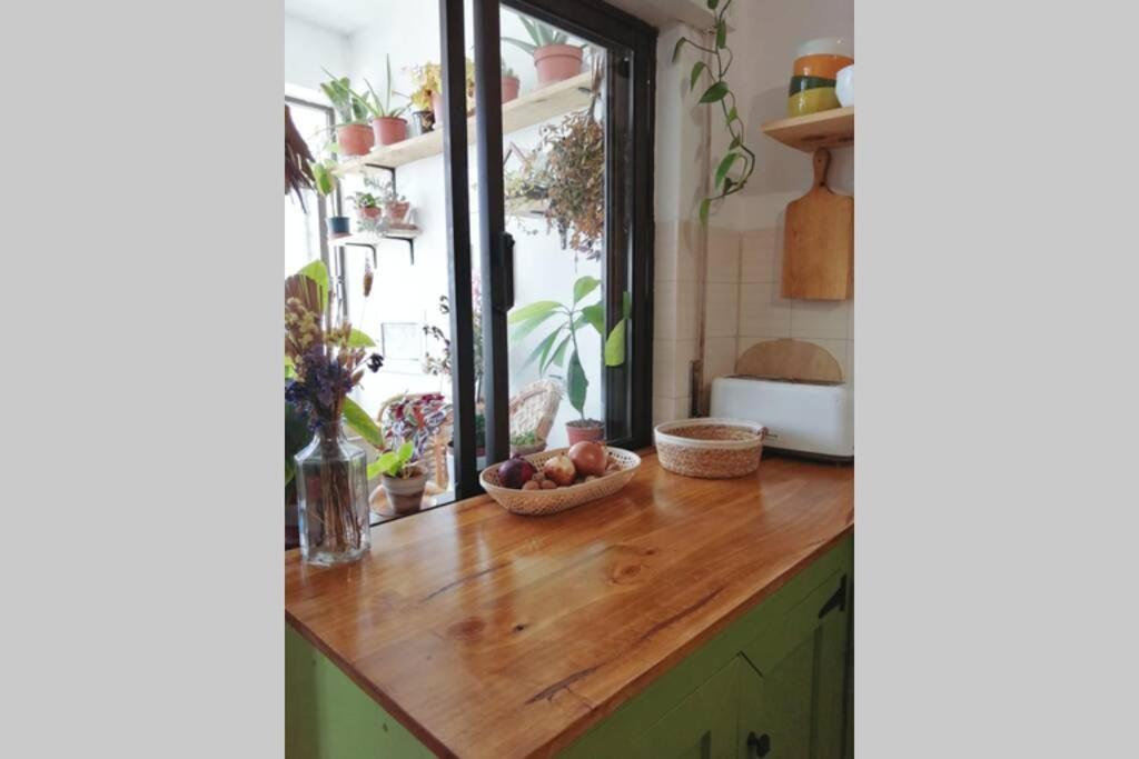 Bamboo House Aljezur Apartment Екстериор снимка